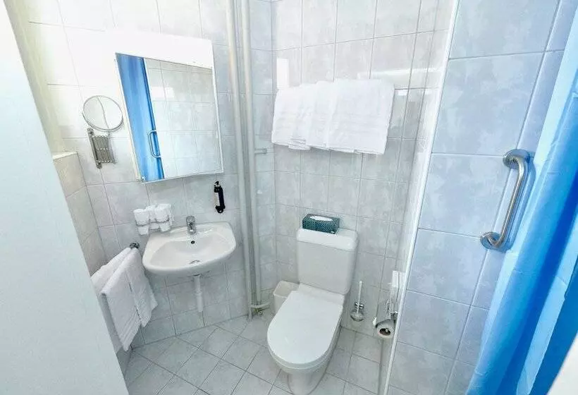 Fotos del hotel Balegra City Hotel Basel:  23