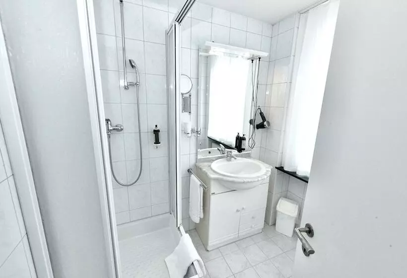 Fotos del hotel Balegra City Hotel Basel:  21