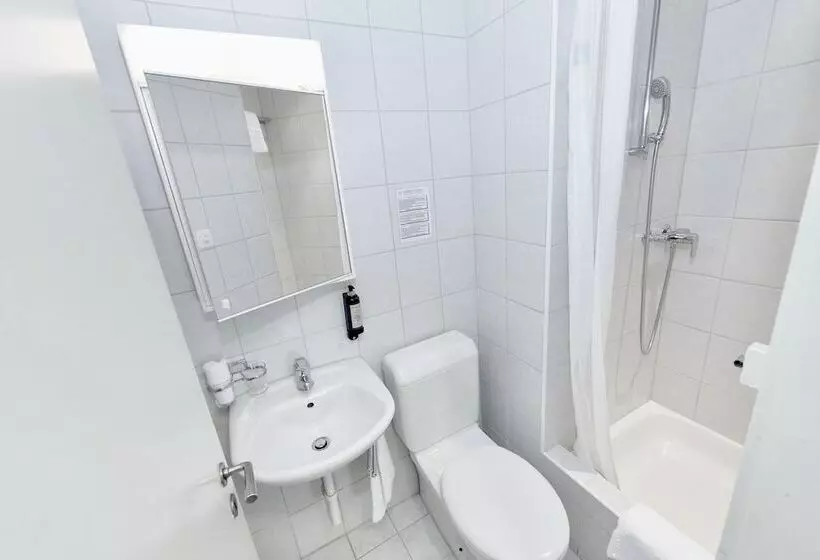 Fotos del hotel Balegra City Hotel Basel:  5