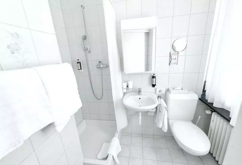 Fotos del hotel Balegra City Hotel Basel:  19