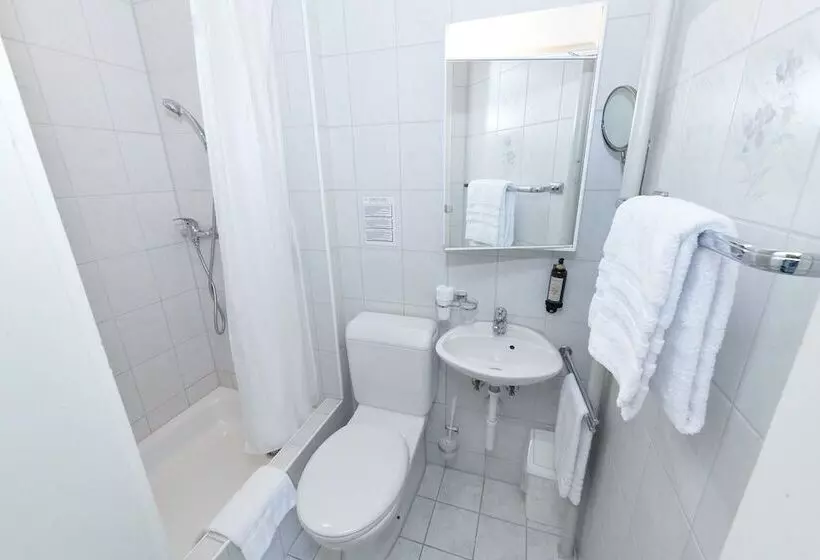 Fotos del hotel Balegra City Hotel Basel:  17