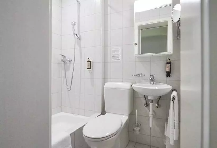 Fotos del hotel Balegra City Hotel Basel:  15