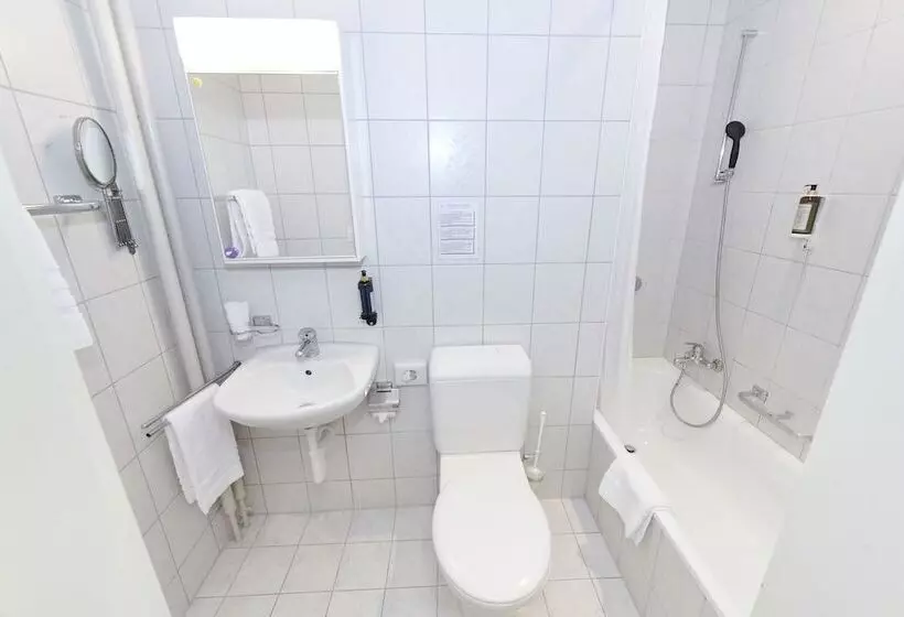 Fotos del hotel Balegra City Hotel Basel:  13