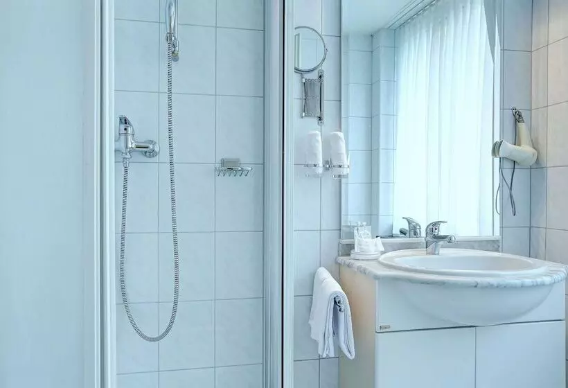 Fotos del hotel Balegra City Hotel Basel:  10