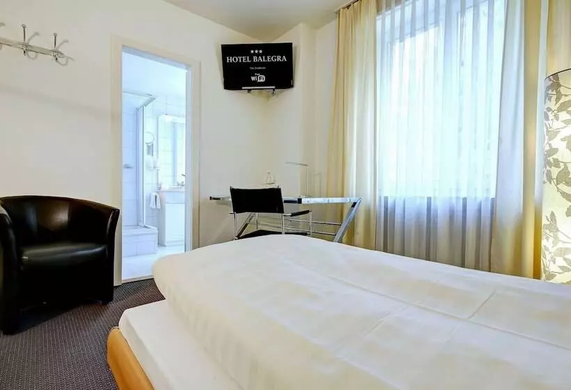 Fotos del hotel Balegra City Hotel Basel:  22