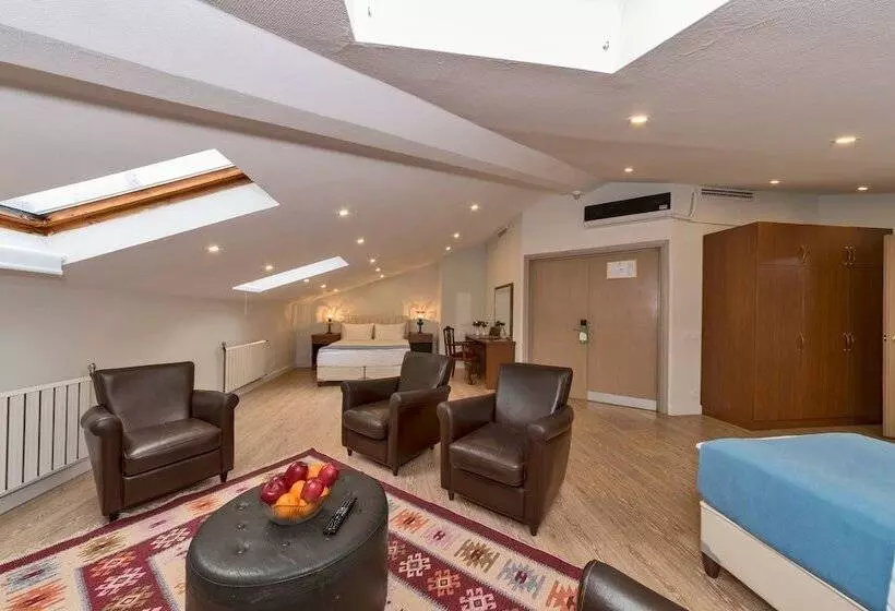 Fotos del hotel Veyron Park  Levent:  2