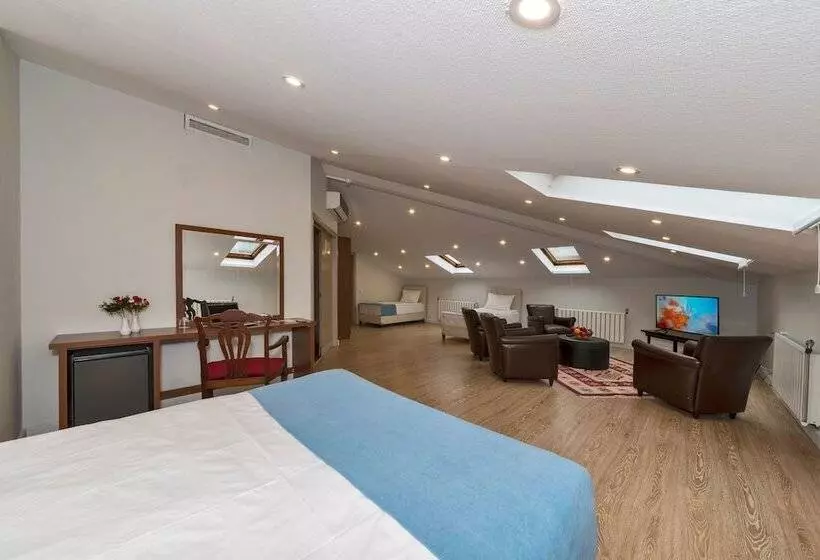 Fotos del hotel Veyron Park  Levent:  21