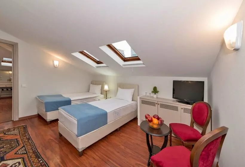 Fotos del hotel Veyron Park  Levent:  10