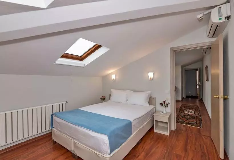 Fotos del hotel Veyron Park  Levent:  22