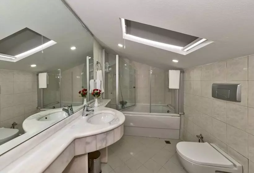 Fotos del hotel Veyron Park  Levent:  5