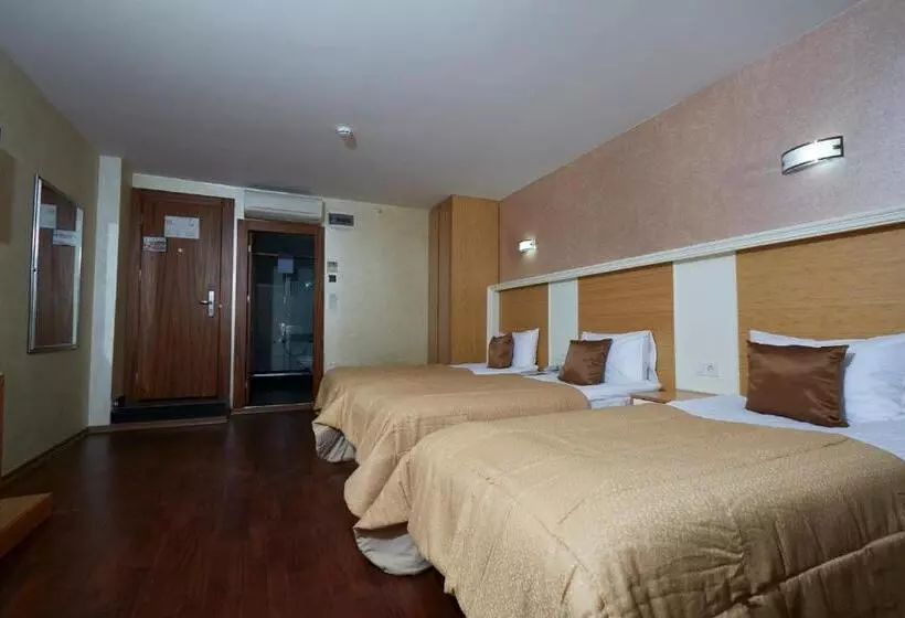 Fotos del hotel Ilkbal Deluxe  Istanbul:  21