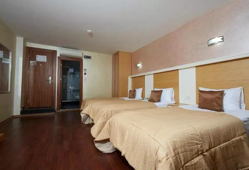 Fotos del hotel Ilkbal Deluxe  Istanbul:  23