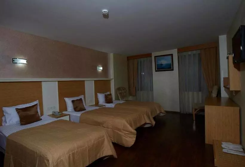 Fotos del hotel Ilkbal Deluxe  Istanbul:  14