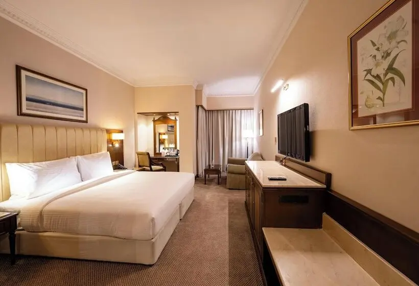 Fotos del hotel Chelsea Plaza:  3