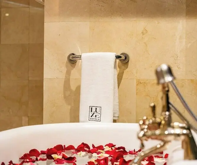 Fotos del hotel Chelsea Plaza:  7