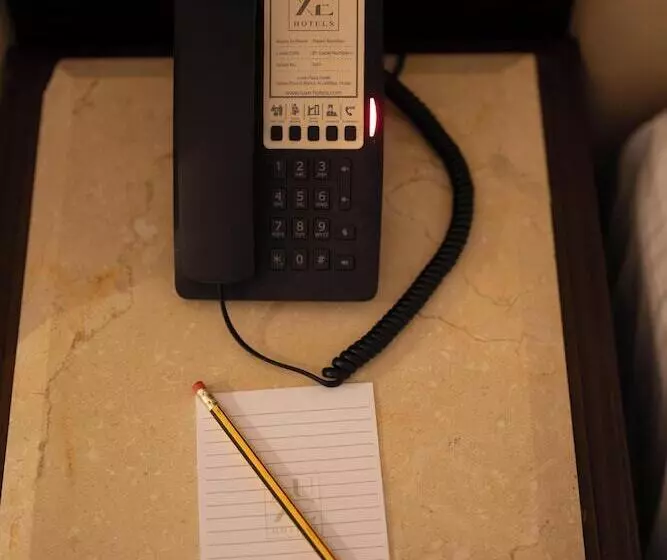 Fotos del hotel Chelsea Plaza:  88