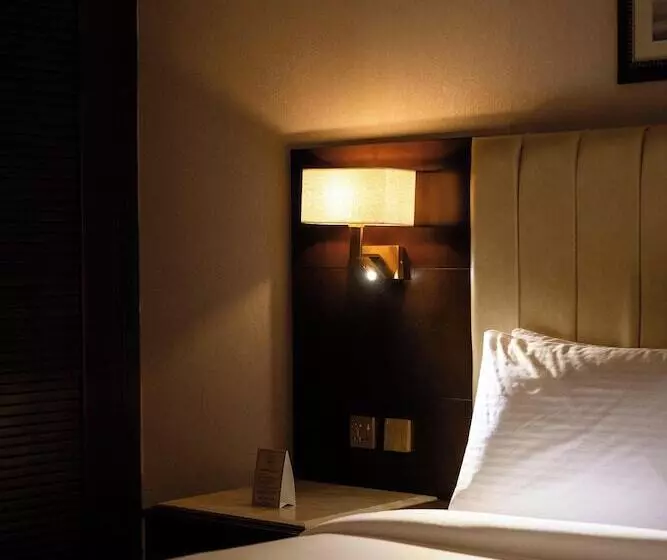 Fotos del hotel Chelsea Plaza:  92
