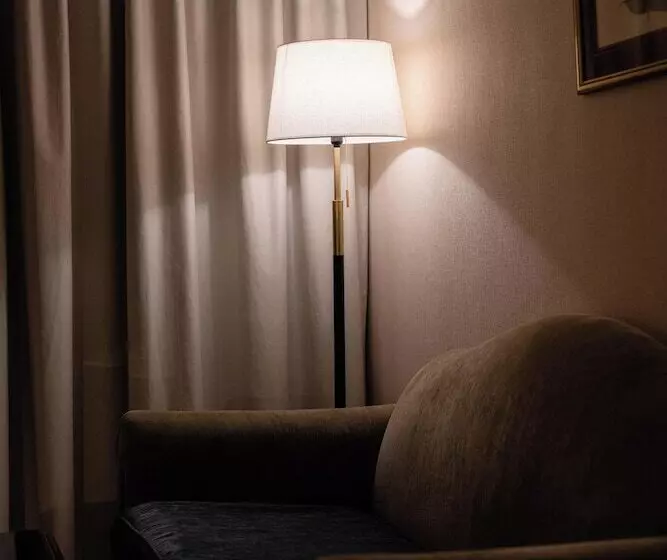 Fotos del hotel Chelsea Plaza:  98