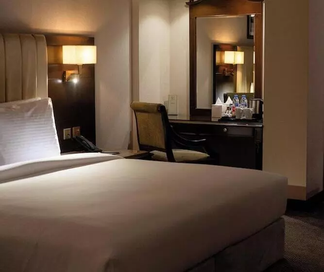 Fotos del hotel Chelsea Plaza:  3