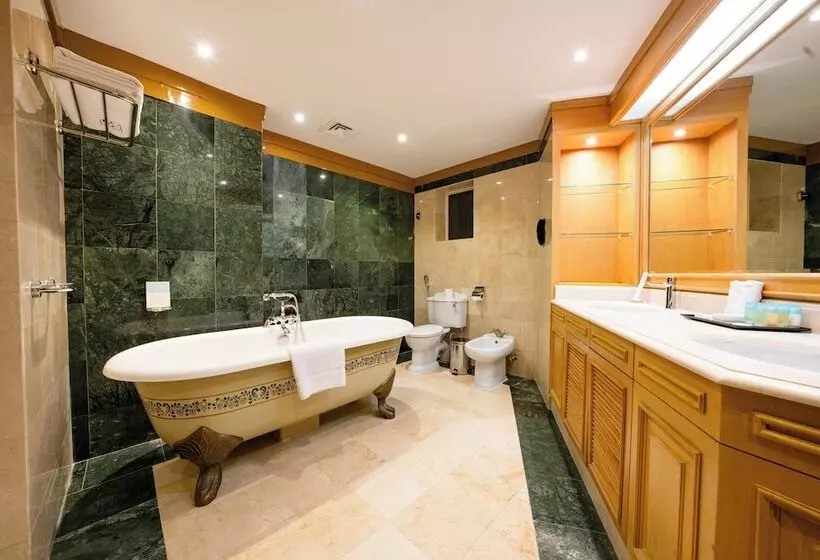 Fotos del hotel Chelsea Plaza:  34
