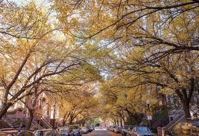 Fotos del hotel The Copley House:  11