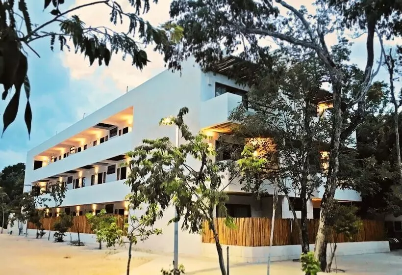 Niik Tulum
