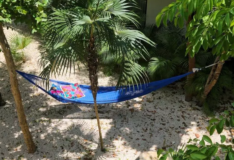 Fotos del hotel Niik Tulum:  25