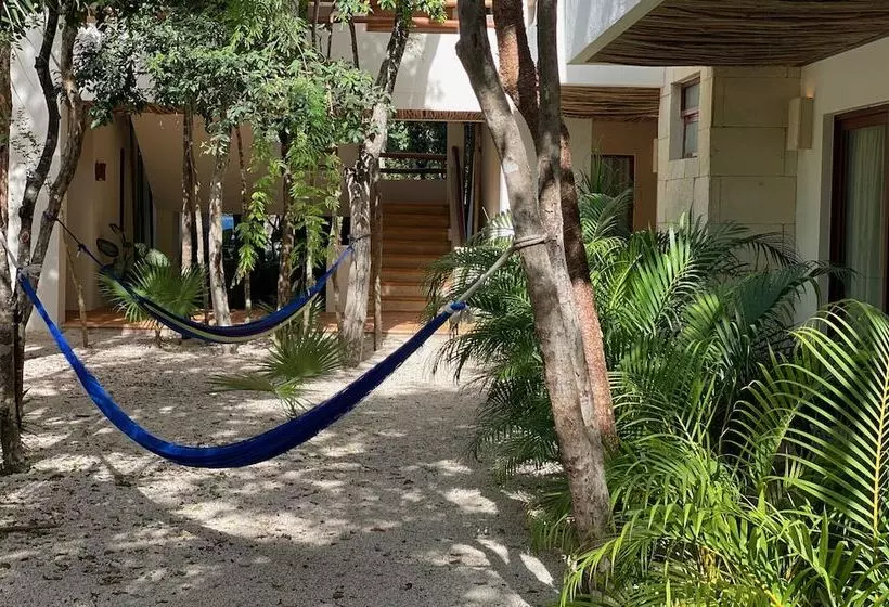 Fotos del hotel Niik Tulum:  11