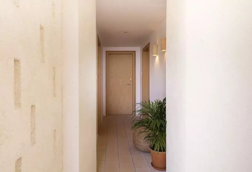 Fotos del hotel Ara Alcudia:  4