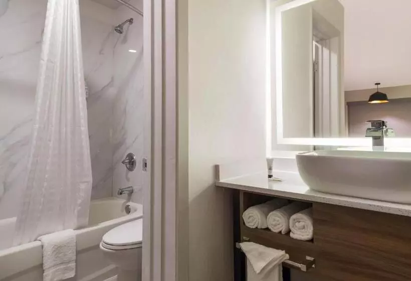 Fotos del hotel Galleria Inn and Suites Westchase Houston:  4