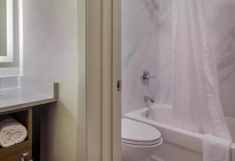 Fotos del hotel Galleria Inn and Suites Westchase Houston:  9