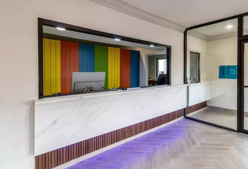 Fotos del hotel Galleria Inn and Suites Westchase Houston:  3