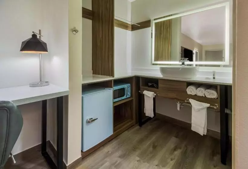 Fotos del hotel Galleria Inn and Suites Westchase Houston:  16