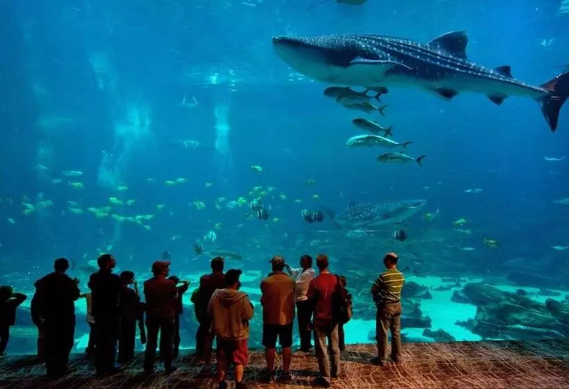 Fotos del hotel The Georgian Terrace:  10