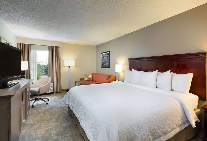 Fotos del hotel Hampton Inn Houston Near The Galleria:  23