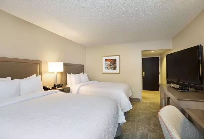 Fotos del hotel Hampton Inn Houston Near The Galleria:  17