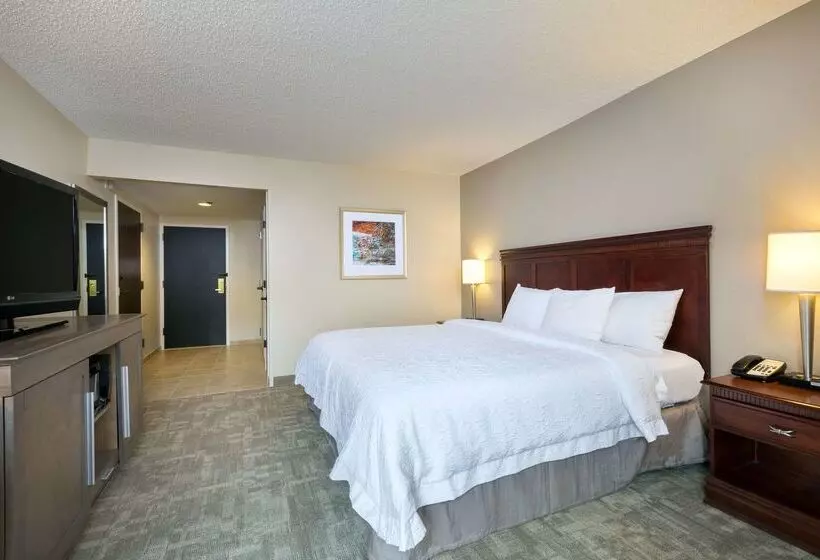 Fotos del hotel Hampton Inn Houston Near The Galleria:  18