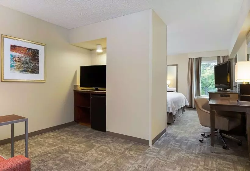 Fotos del hotel Hampton Inn Houston Near The Galleria:  19