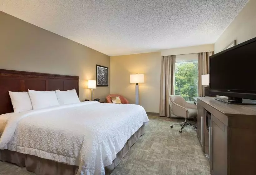 Fotos del hotel Hampton Inn Houston Near The Galleria:  24