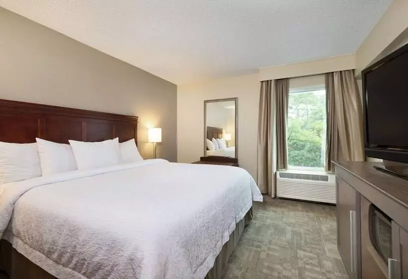 Fotos del hotel Hampton Inn Houston Near The Galleria:  11
