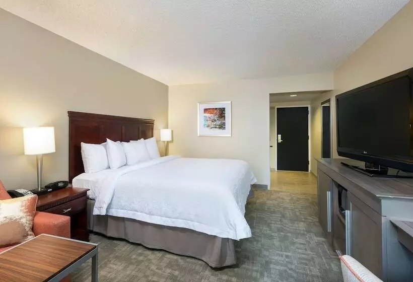 Fotos del hotel Hampton Inn Houston Near The Galleria:  13