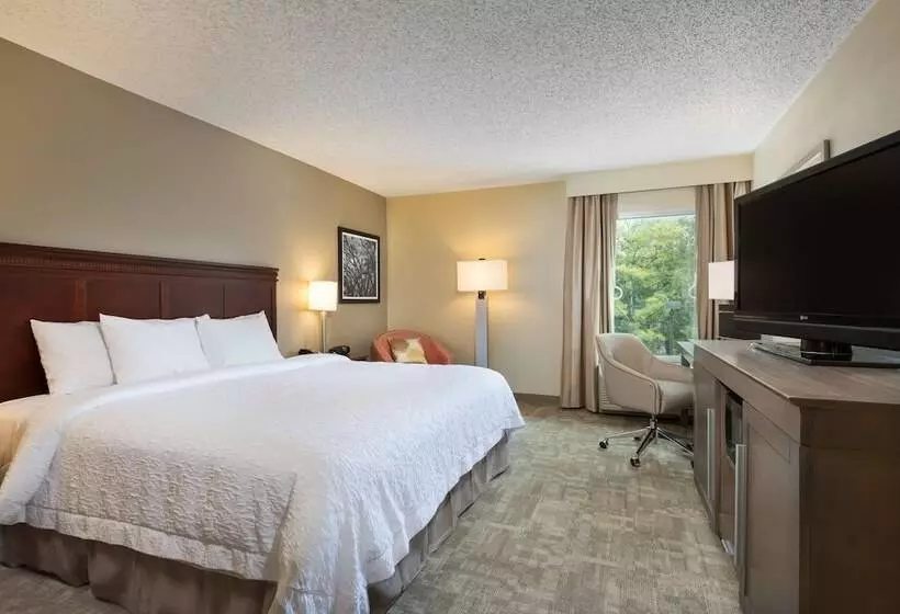 Fotos del hotel Hampton Inn Houston Near The Galleria:  9