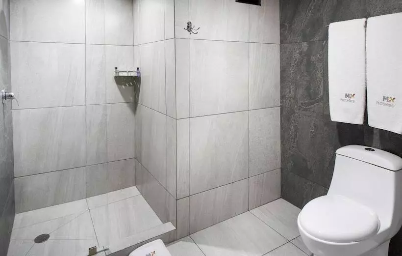 Fotos del hotel Mx Lagunilla:  8