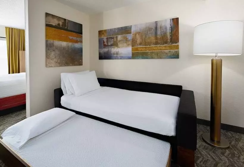 Fotos del hotel Springhill Suites Houston Hobby Airport:  16