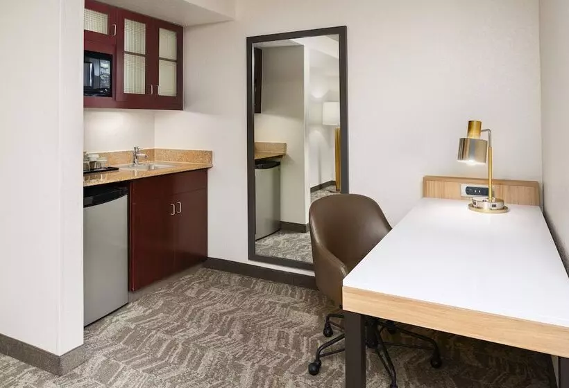 Fotos del hotel Springhill Suites Houston Hobby Airport:  22