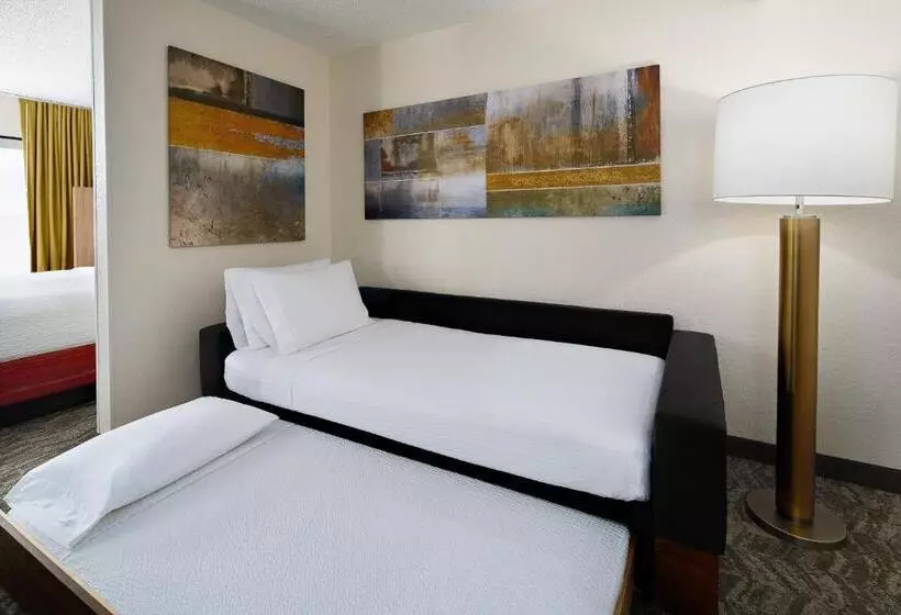 Fotos del hotel Springhill Suites Houston Hobby Airport:  17