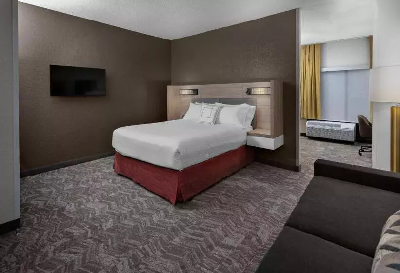Fotos del hotel Springhill Suites Houston Hobby Airport:  15