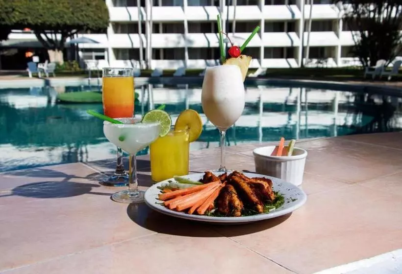 Fotos del hotel Aristos Mirador Cuernavaca:  5