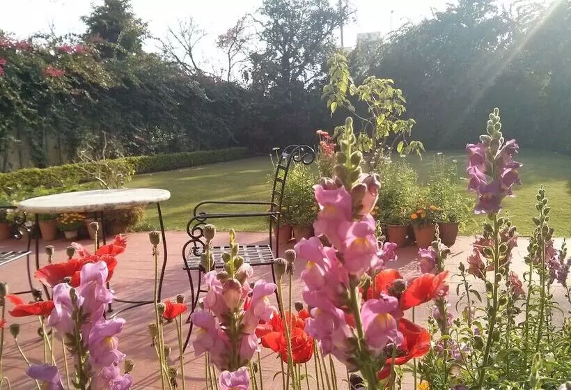 Fotos del hotel Jas Vilas:  18