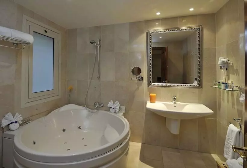 Fotos del hotel Roger De Llúria:  8